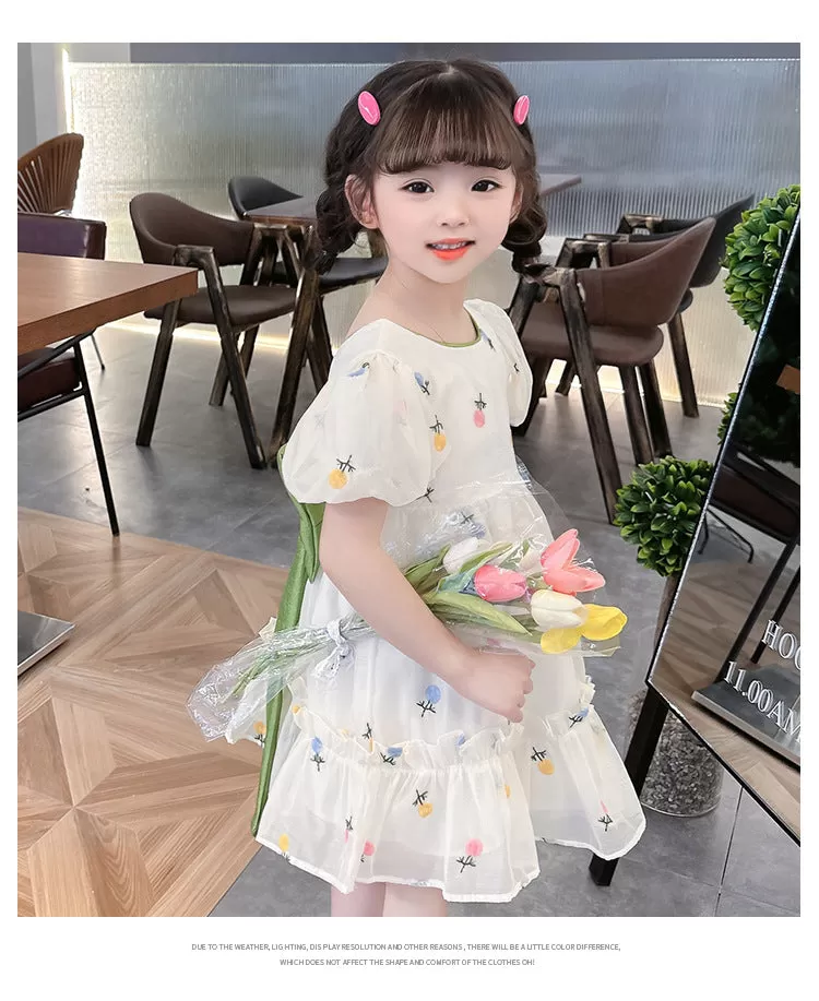 Baby Kid Girls Bow Embroidered Dresses