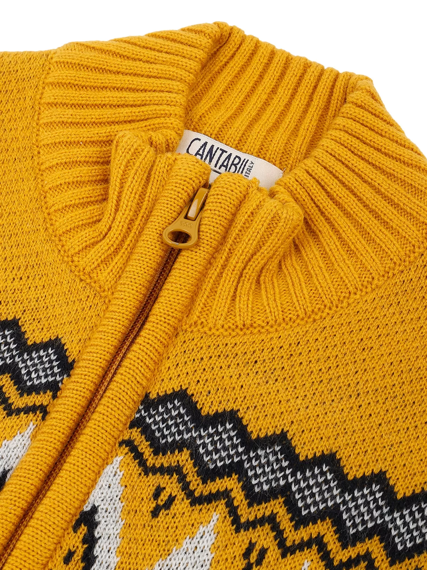 Cantabil Boys Mustard Sweater