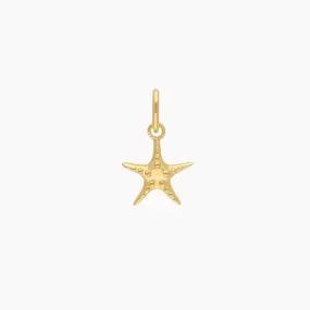 Roma Starfish Charm (Gold)