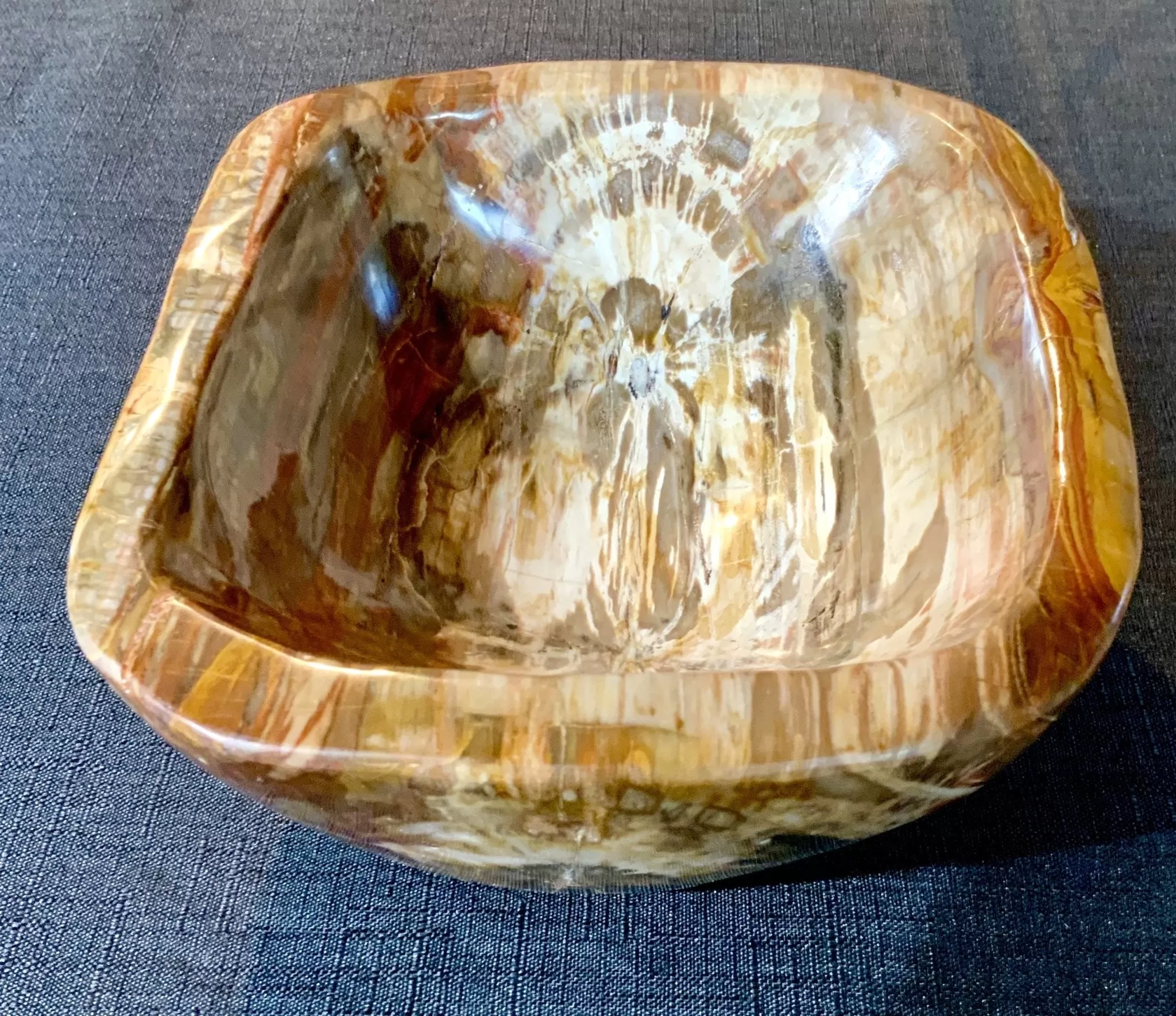 Unity Petrified Wood Bowl